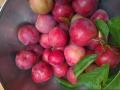 Ciruelas 500 gr,