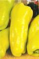 Pimiento amarillo 500 gramos